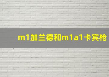 m1加兰德和m1a1卡宾枪