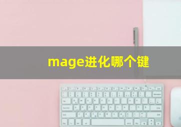 mage进化哪个键