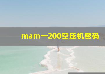 mam一200空压机密码