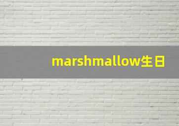 marshmallow生日