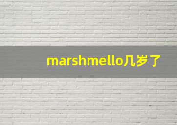 marshmello几岁了