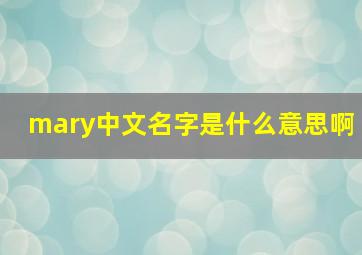 mary中文名字是什么意思啊