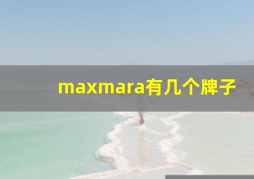 maxmara有几个牌子