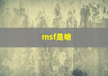 msf是啥