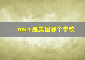 msm是美国哪个学校