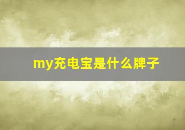 my充电宝是什么牌子