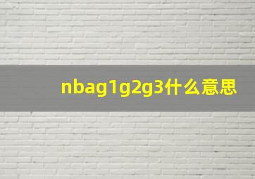 nbag1g2g3什么意思