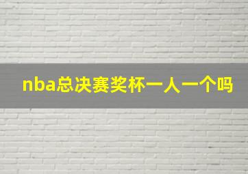 nba总决赛奖杯一人一个吗