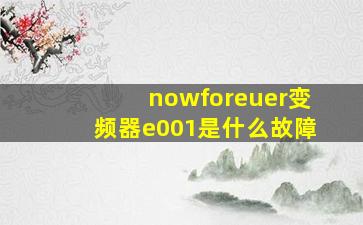 nowforeuer变频器e001是什么故障