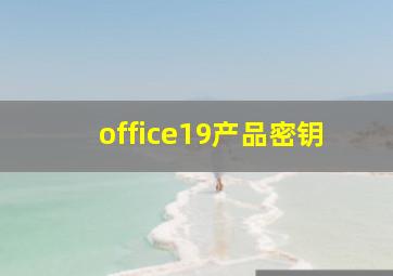 office19产品密钥