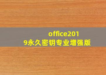 office2019永久密钥专业增强版