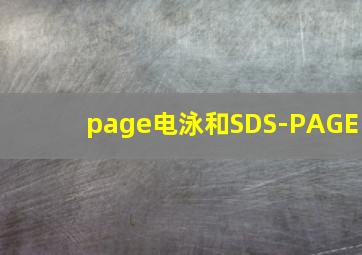 page电泳和SDS-PAGE