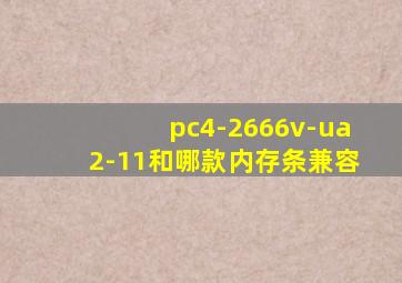 pc4-2666v-ua2-11和哪款内存条兼容