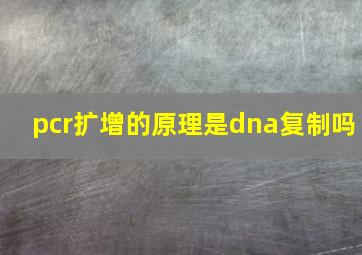 pcr扩增的原理是dna复制吗