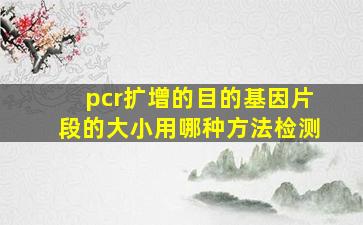 pcr扩增的目的基因片段的大小用哪种方法检测