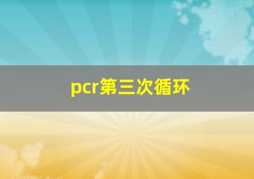 pcr第三次循环