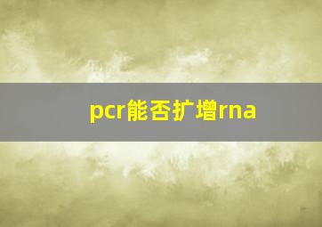 pcr能否扩增rna