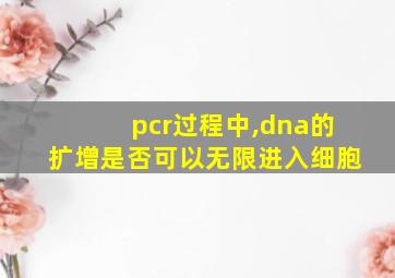 pcr过程中,dna的扩增是否可以无限进入细胞