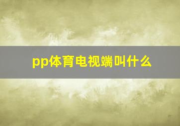 pp体育电视端叫什么