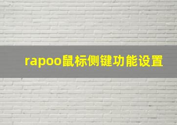 rapoo鼠标侧键功能设置