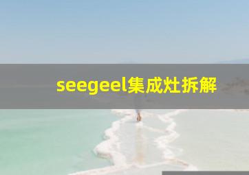 seegeel集成灶拆解