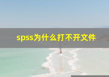 spss为什么打不开文件