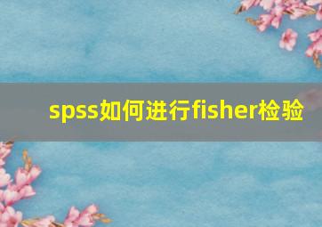 spss如何进行fisher检验