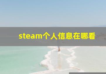 steam个人信息在哪看