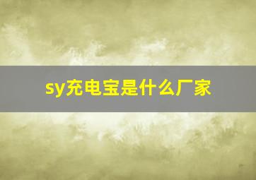 sy充电宝是什么厂家