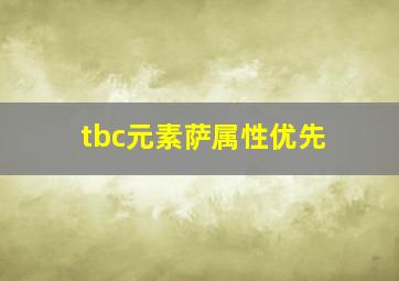 tbc元素萨属性优先