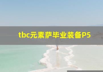 tbc元素萨毕业装备P5