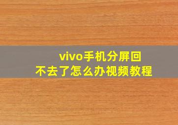 vivo手机分屏回不去了怎么办视频教程