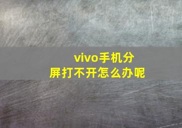 vivo手机分屏打不开怎么办呢