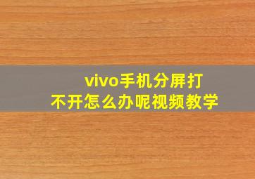 vivo手机分屏打不开怎么办呢视频教学