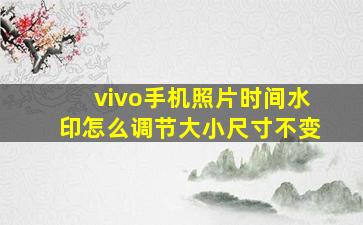 vivo手机照片时间水印怎么调节大小尺寸不变