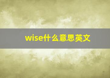 wise什么意思英文