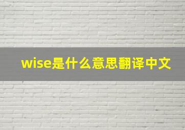 wise是什么意思翻译中文