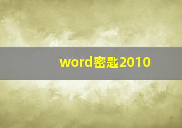 word密匙2010