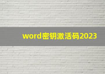 word密钥激活码2023