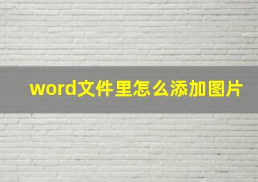 word文件里怎么添加图片