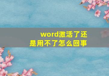 word激活了还是用不了怎么回事