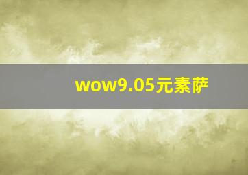 wow9.05元素萨