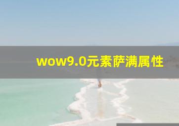 wow9.0元素萨满属性