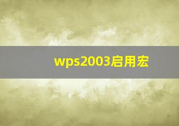 wps2003启用宏