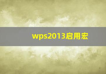 wps2013启用宏