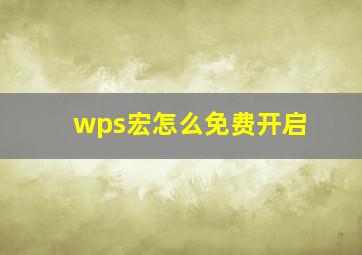 wps宏怎么免费开启