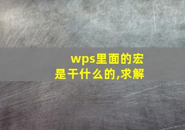 wps里面的宏是干什么的,求解