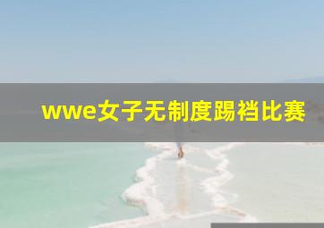 wwe女子无制度踢裆比赛