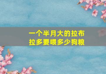 一个半月大的拉布拉多要喂多少狗粮