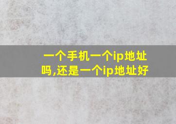 一个手机一个ip地址吗,还是一个ip地址好